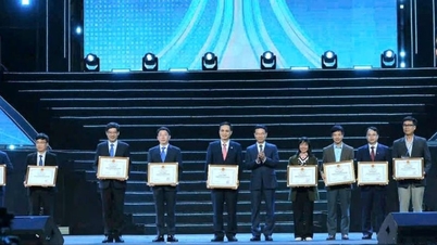 Da Nang zählt zu den zehn vorbildlichen Standorten bei der Entwicklung eines innovativen Startup-Ökosystems.