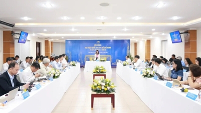 Den Schulrat abschaffen; vorschlagen, dass die Nationale Universität Ho-Chi-Minh-Stadt einen Beirat einrichtet.