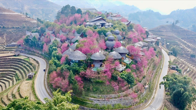 Yıl sonu festivalleriyle kış mevsimine merhaba deyin.