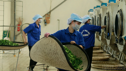 Komune Bao Yen meningkatkan upaya untuk menarik investasi di sektor-sektor kunci.