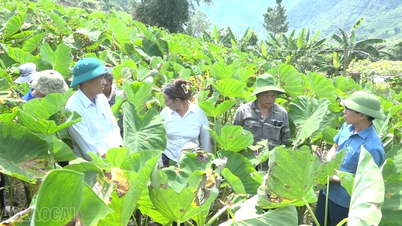 Jalan yang kokoh menuju pengurangan kemiskinan yang berkelanjutan.