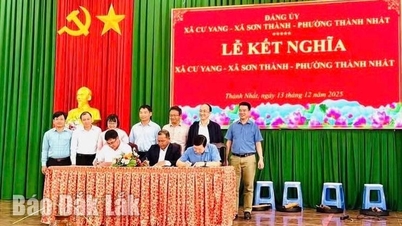 Výbory strany tří jednotek Cu Yang, Son Thanh a Thanh Nhat navázaly bratrský vztah.