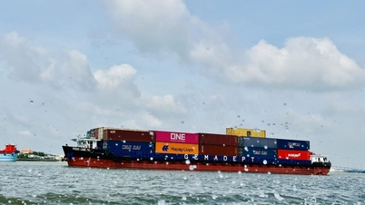 שינוי השקעות - חלק 1: וייטנאם מצטיינת בשרשרת האספקה ​​הגלובלית