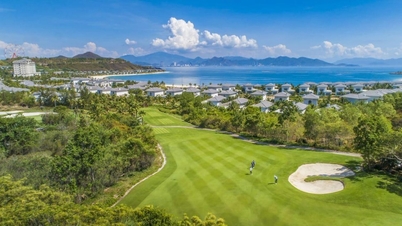 Costurile lecțiilor de golf: Cât ar trebui să se pregătească un începător?