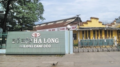 Perusahaan Makanan Kaleng Ha Long berinvestasi di pabrik baru di Kawasan Industri Nam Dinh Vu.