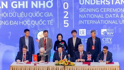 اقتصاد البيانات – ركيزة النمو الجديدة لفيتنام في العقد القادم.