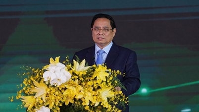 وزیر اعظم: نون ٹریچ پاور پلانٹ ویتنام کی ذہانت اور لچک کی تصدیق کرتا ہے۔