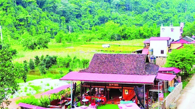 थाई गुयेन सामुदायिक पर्यटन के विकास पर ध्यान केंद्रित करता है।