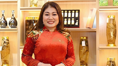 Chủ tịch Tập đoàn Mỹ Hạnh 'vẽ' dự án trồng sâm Ngọc Linh, huy động gần 1.300 tỉ đồng