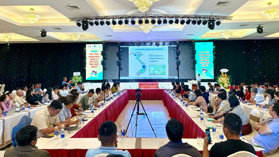 Gia Lai: Lokakarya tentang pembangunan berkelanjutan industri buah markisa melalui keterkaitan rantai nilai.