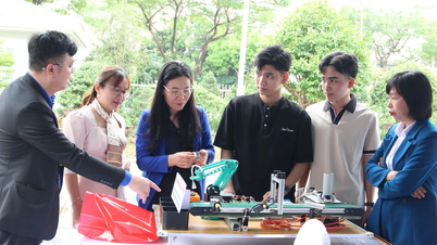 Spreading the "Youth Innovation" movement