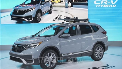 Car prices plummet at the end of the year.