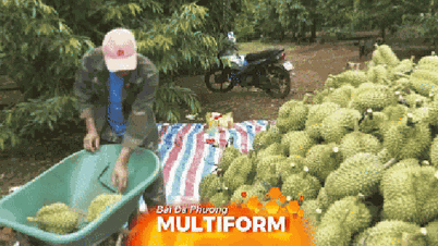 Meyve ve sebze ihracatı hızlanıyor ve 2025 yılında bir milyar dolarlık rakama ulaşması bekleniyor.