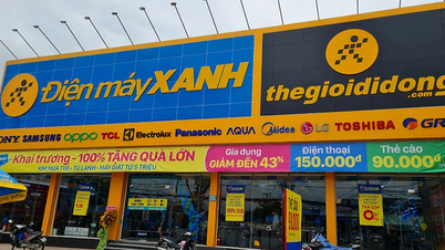 A Dien May Xanh está prestes a abrir seu capital na bolsa de valores.