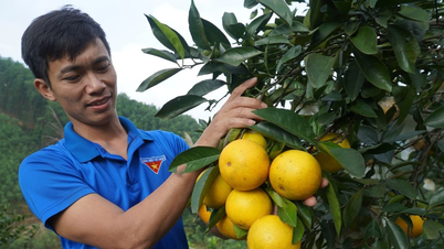 คนหนุ่มสาวที่เกิดในทศวรรษ 1990 ออกจากเมืองเพื่อไปฟื้นฟูพื้นที่แห้งแล้งและเต็มไปด้วยหิน