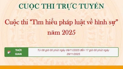 Lansarea concursului online „Înțelegerea dreptului penal” în 2025