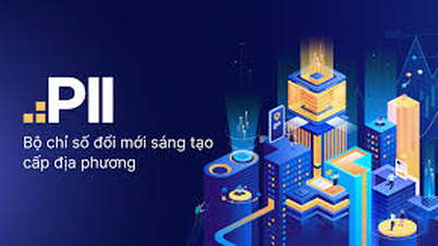 Unele aspecte ale conținutului Planului de îmbunătățire și consolidare a indicelui de inovare (PII) al provinciei Ca Mau în 2026.