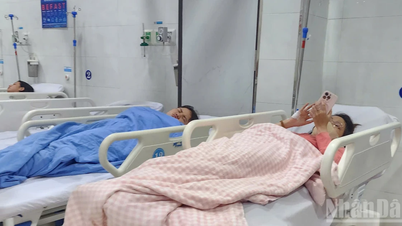 꽝응아이성: 빵 섭취로 인한 식중독 의심 사례 발생에 대해 긴급 조치가 취해졌습니다.