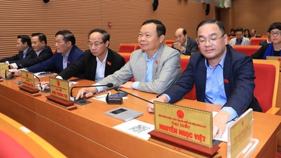 هانوی طرح منطقه شهری ورزش‌های المپیکی با بودجه ۹۲۵.۶۵۱ میلیارد دانگ ویتنام را تصویب کرد.