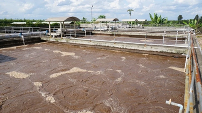 นิคมอุตสาหกรรมตันบินห์: หัวใจสีเขียวด้วยระบบบำบัดน้ำเสียที่ทันสมัย