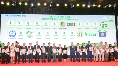 A gumiexport várhatóan meghaladja a 11 milliárd dollárt.