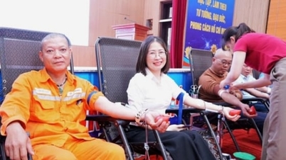 នគរបាលខេត្តភូថូ៖ បំភ្លឺអណ្តាតភ្លើងនៃក្តីសង្ឃឹមពីដំណក់ឈាមដ៏មានតម្លៃ។