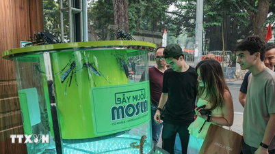 مهرجان التكنولوجيا في فيتنام 2025: مساحة للتواصل وتجربة التكنولوجيا العملية.