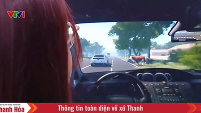 اقتراح بإلغاء قسم محاكاة اختبار القيادة في امتحان رخصة القيادة.