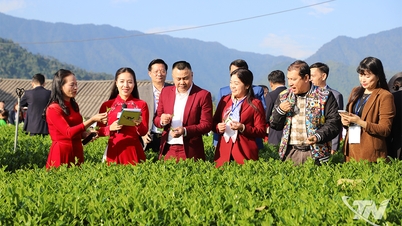 กิจกรรมสุดเร้าใจ "การแข่งขันแปรรูปชาฝีมือเยี่ยม" และ "ชิมชากับเหล่าคนดัง" ที่ลาบัง