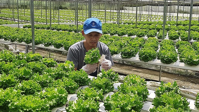 علوم کشاورزی: ​​از آزمایشگاه تا مزرعه