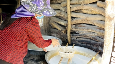 Khmer halkının hurma şekeri üretim mevsimi.