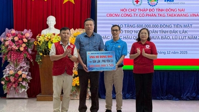 Hulpverlening aan 600 huishoudens die getroffen zijn door overstromingen in de gemeente Phu Hoa 2 en de wijk Dong Hoa.