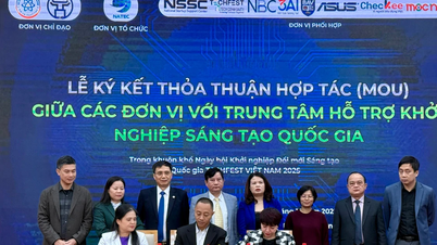 Transparente Daten ebnen den Weg für grüne Startups.