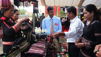 국가별 목표 프로그램 덕분에 효과가 두 배로 증가했습니다.