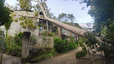 強風により木が倒れ、家屋が押しつぶされた。