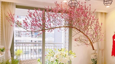 টেট সাজসজ্জা: নতুন বছরকে স্বাগত জানাতে এবং সৌভাগ্য বয়ে আনতে আপনার ঘর পরিষ্কার করার টিপস।