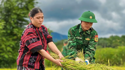 Αξιοποίηση της κοινωνικοοικονομικής ανάπτυξης σε περιοχές με εθνοτικές μειονότητες.