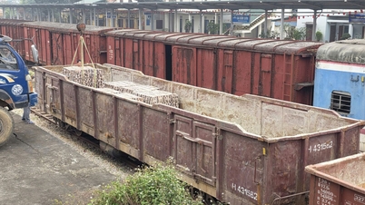 Ngành Đường sắt miễn phí vận chuyển 1 triệu viên gạch xây dựng nhà ở tại miền Trung
