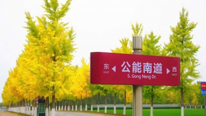 Herfstkleuren van Tianjin