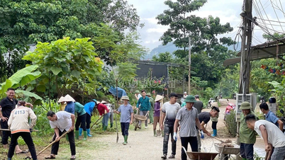 Agricultores de Yen Binh unem forças para construir uma nova área rural.