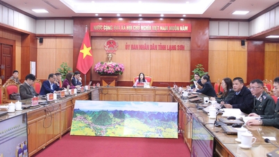 2025 yılındaki yargı çalışmalarını özetleyen, 2021-2025 dönemini kapsayan, 2026-2030 dönemi için yön belirleyen ve 2026 için temel görevleri uygulamaya koyan ulusal çevrimiçi konferans.