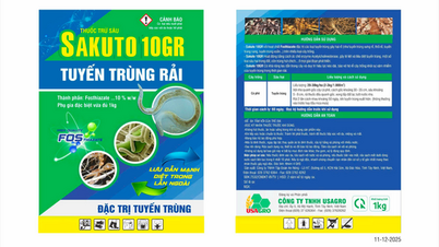 Ан Нонг: Внедрение мер по ранней борьбе с нематодами — поддержание здоровья корней и обеспечение стабильного роста растений.