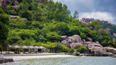 Pantai Cam Ranh Star: Keindahan yang belum disentuh dan pengalaman yang berbaloi untuk dicuba.
