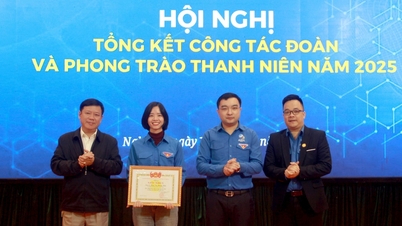 Nghe An ilindeki parti teşkilatlarının temsilcilerinden oluşan heyet, Gençlik Birliği ve gençlik hareketinin 2025 yılındaki çalışmalarını özetledi.