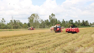 וין לונג מיישם מדע וטכנולוגיה בייצור.