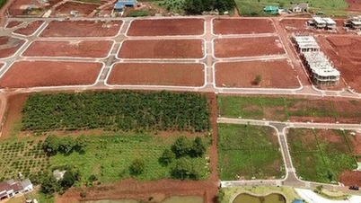 Er det obligatorisk å endre arealbruksformålet for hele tomten?