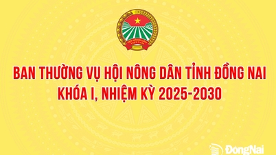 [Infografika] A Dong Nai Tartományi Gazdaszövetség Állandó Bizottságának portréja a 2025-2030-as ciklusra
