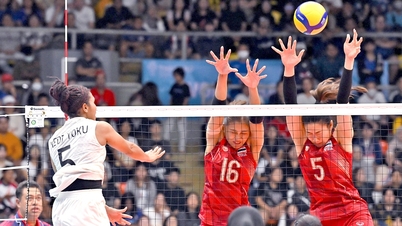 第33回東南アジア競技大会女子バレーボール決勝はベトナムとタイが優勝した。
