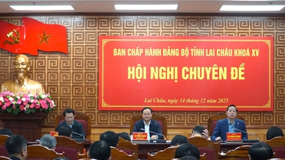 סימפוזיון הוועד הפועל של ועדת המפלגה המחוזית, קדנציה 15