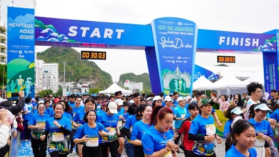 Sporttourismus zu einem Schlüsselprodukt von Hai Phong machen.